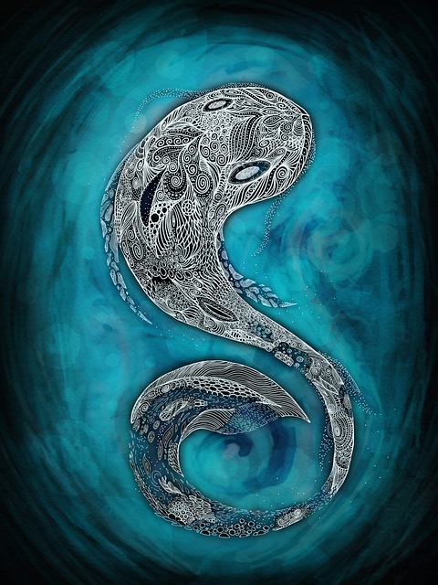 Free Fish Underwater illustration and picture