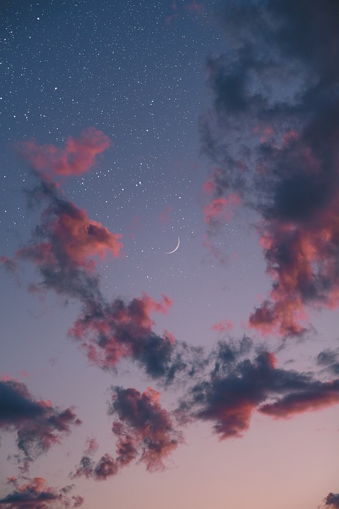 蝴蝶谷天天