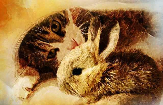 Free rabbit cat drawing illustration