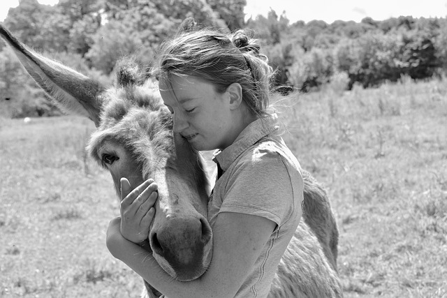 Free Woman Donkey photo and picture
