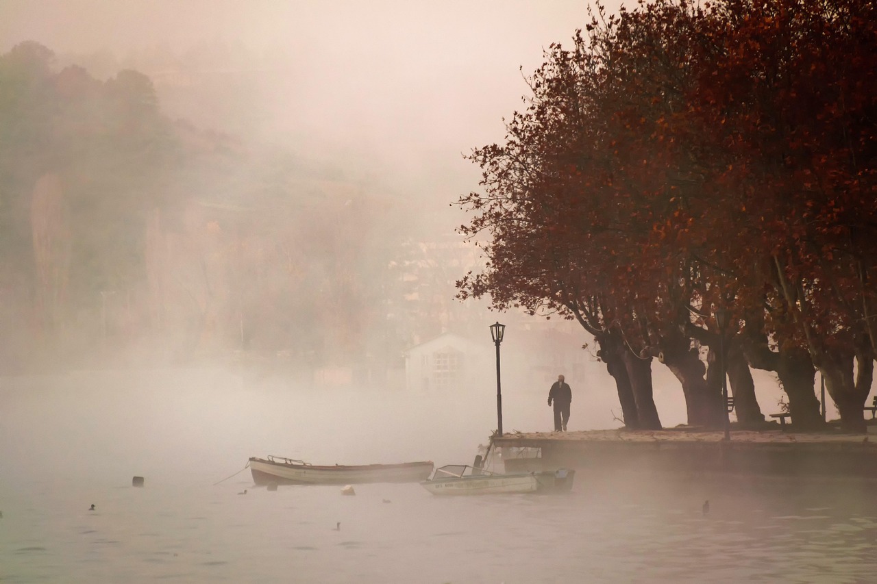 Fog - free online jigsaw puzzle photo