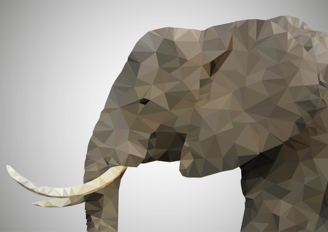 Elefant, Grå, Brun, Pattedyr, Dyr, Natur
