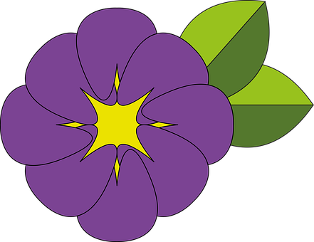 Blomst, Lilla, Gul, Grøn, Blade