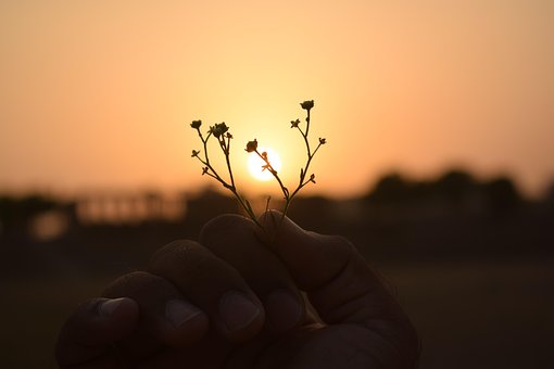 Solnedgang, Natur, Landskap, Naturlig