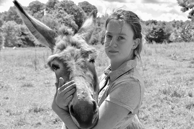 Free Woman Donkey photo and picture