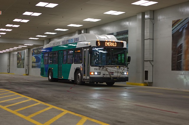 Bus, Rijden, Voertuig, Vervoer, Reizen