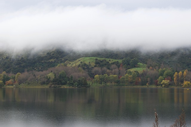 Natur, Herbst, See, Bäume, Landschaft