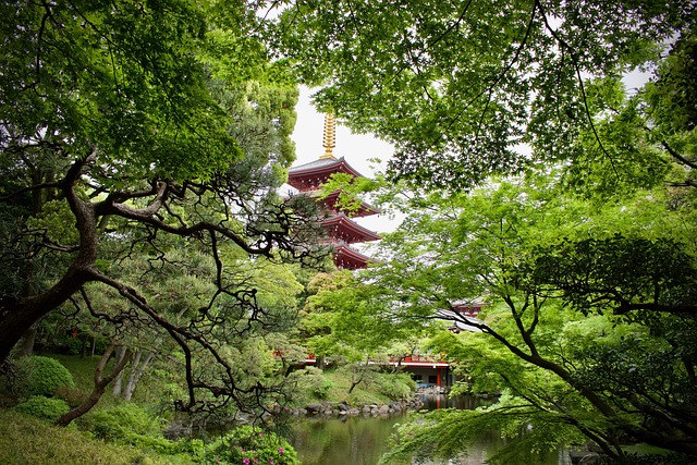 Natur, Pagode, Tempel, Japan, Garten