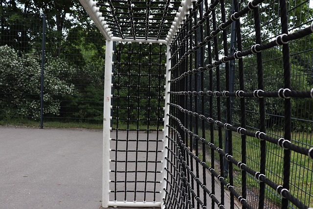 Free Goal Post Berlin photo and picture