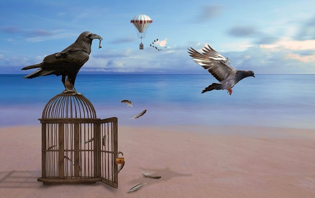 Free crow nature cage illustration