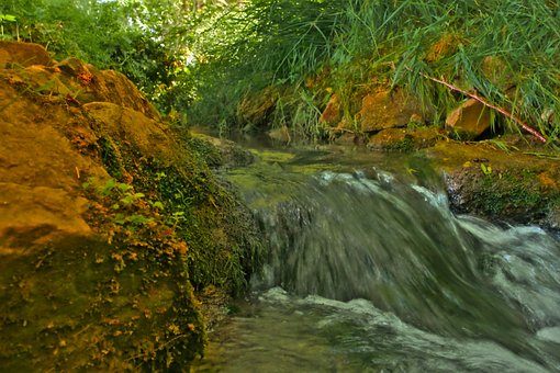 Beek, Stroom, Water, Landschap, Natuur