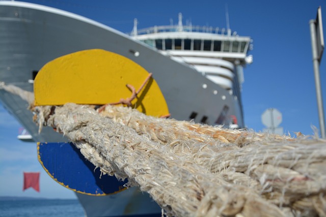 Free Cruise Ship photo and picture