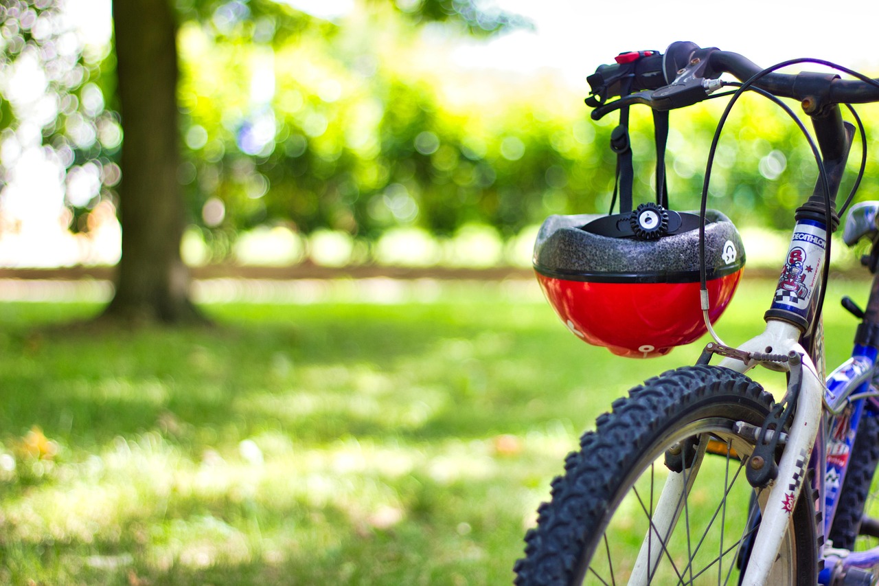 Bicycle Bob Country Free photo on Pixabay Pixabay