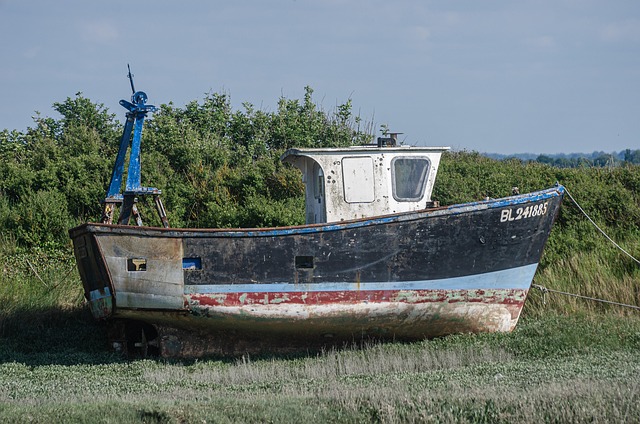 Free Boat Failed photo and picture