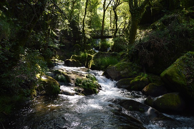Free River Waterfall photo and picture