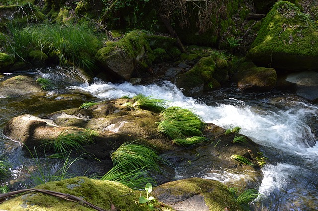 Free River Nature photo and picture
