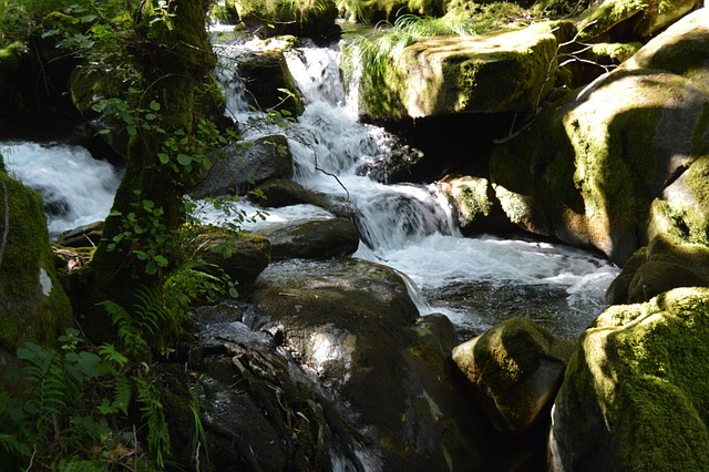 Free River Waterfall photo and picture