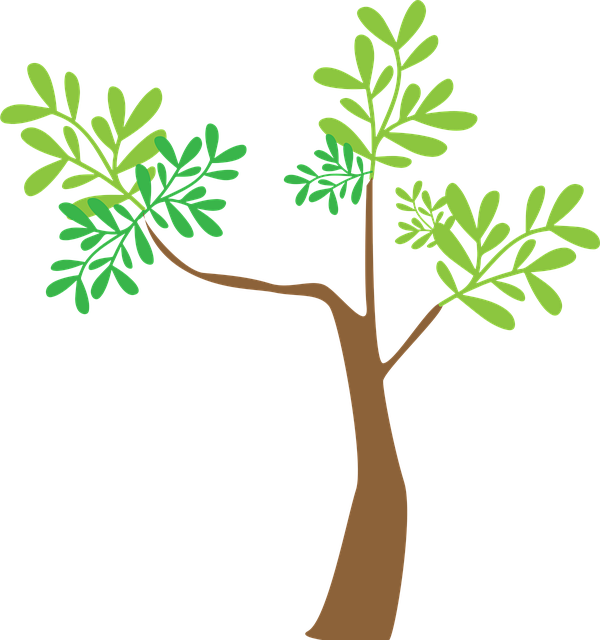Træ, Plante, Natur, Blade, Grøn, Gren