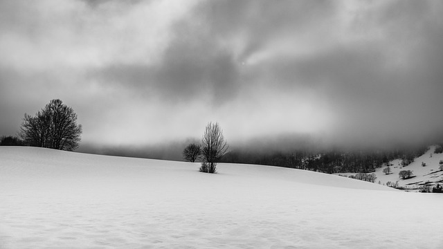 Landschaft, Winter, Natur, Berg, Schnee
