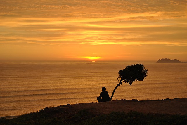 Free Beach Sea photo and picture