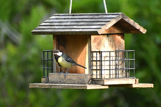 Free Bird Manger photo and picture