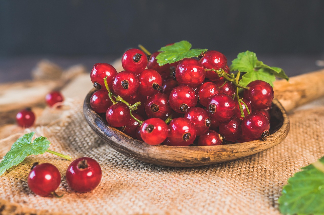 Baies Rouge Fruits - Photo gratuite sur Pixabay - Pixabay