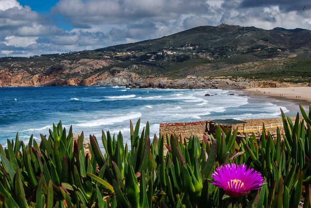 Praia, Natureza, Oceano, Costa, Panorama