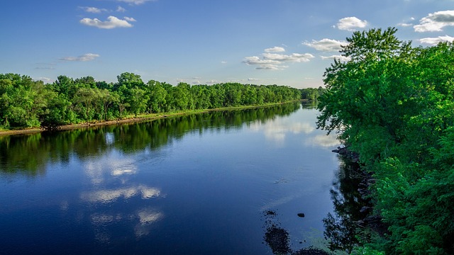 Free River Water photo and picture