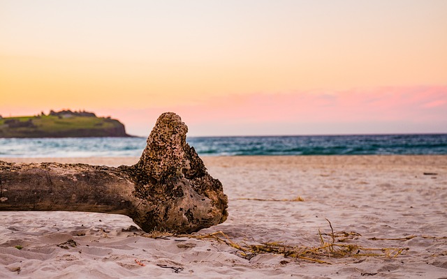 Free Beach Nature photo and picture