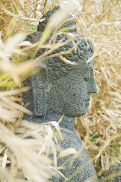Free Buddah Stone Figure photo and picture