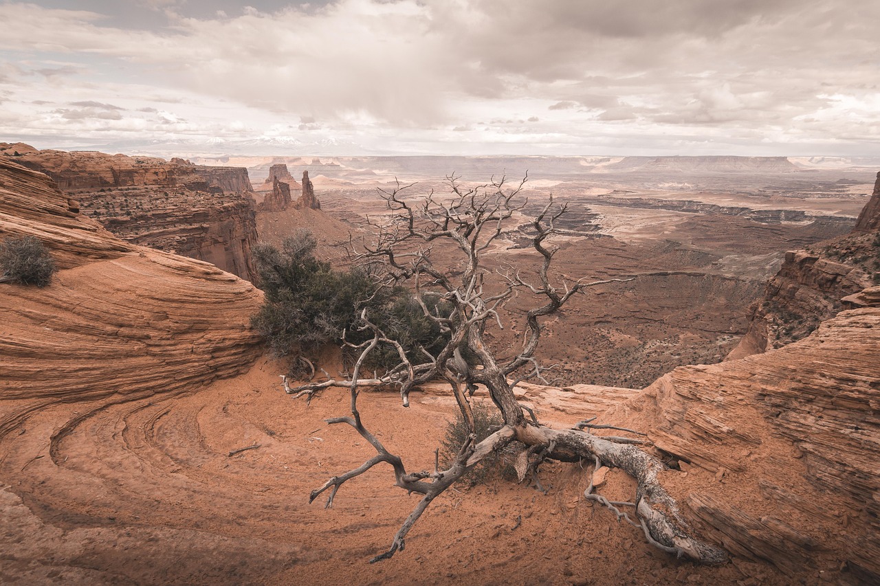 Free Mesa Arch Arches photo and picture