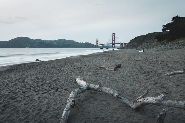 San Francisco, Golden Gate Bro