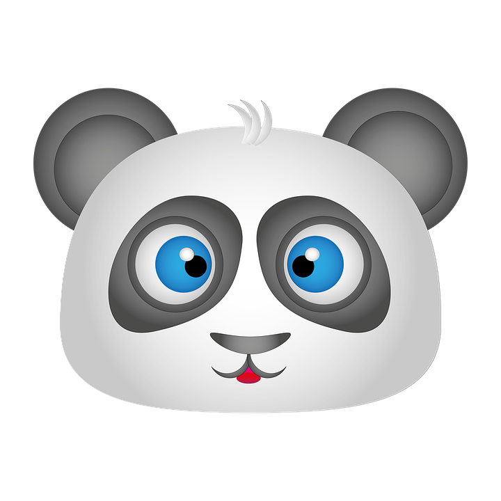 Giant Panda Animal Bear Free Image On Pixabay