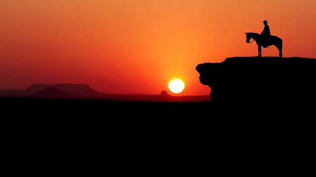 Free sunset cow boy horse illustration