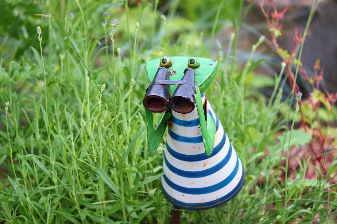 Frog - free online jigsaw puzzle photo