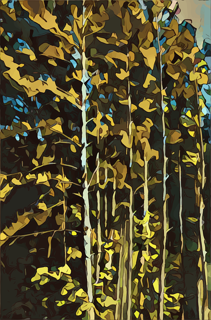 Free trees woods forest illustration