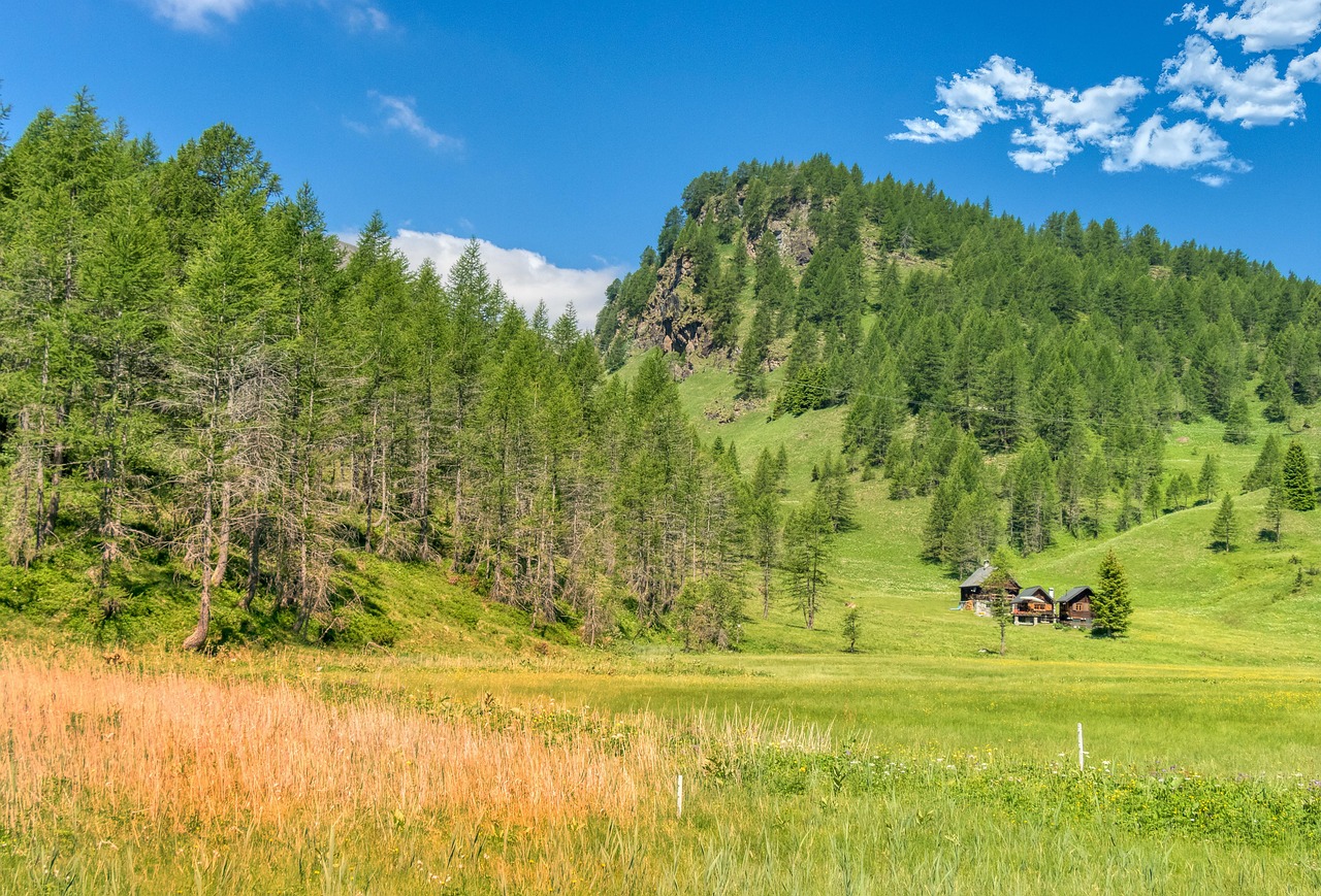 Alpine Valley Nature Free photo on Pixabay Pixabay
