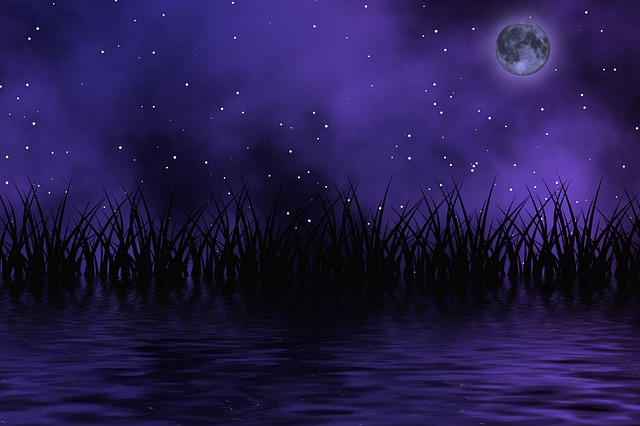 Free night darkness dark illustration