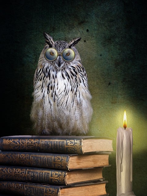 Free books owl training illustration