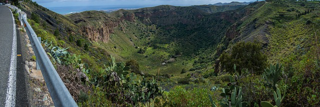 Vulkan, Gran Canaria, Landschaft, Flora