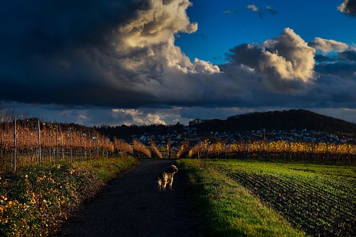 Landschaft, Natur, Beleuchtung, Himmel