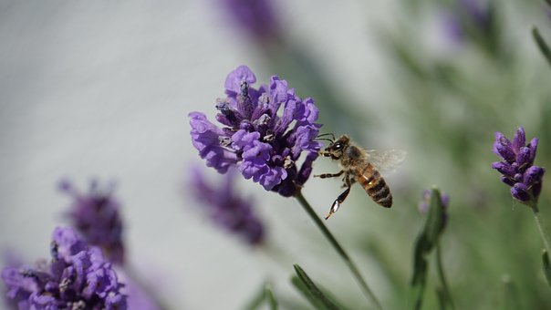 공 전세 자금 개인회생 면책 신청 준비3