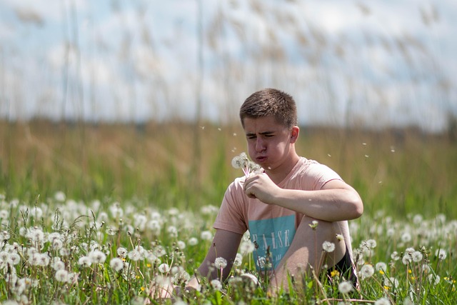 Free Nature Spring photo and picture