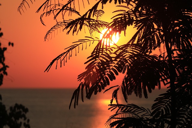 Mar Negro, Verão, Sol, Período De Férias