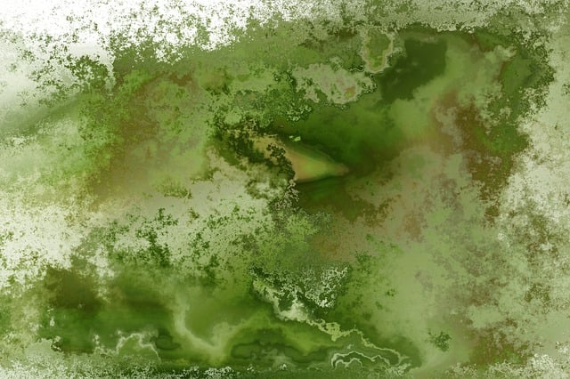 Free colour abstract painting illustration