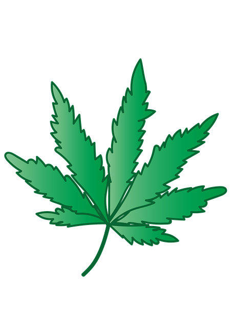 Free herb weed plant illustration
