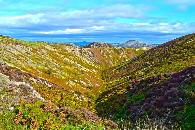 Lange Mynd, Shropshire, England
