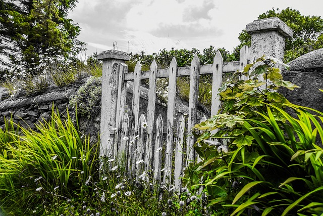 Irland, Hage Gate, Blomst, Hage, Natur