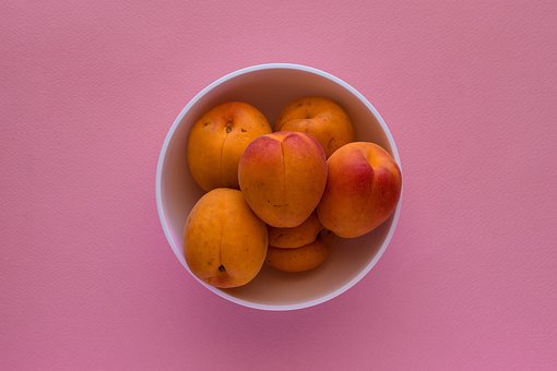 Free Fruit Apricots photo and picture