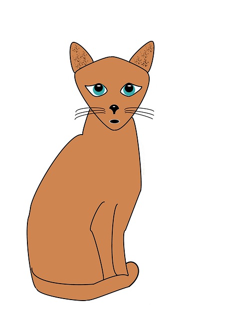 Free cat green eyed cat pet illustration